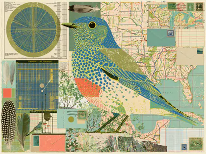 A Migratory Bird Radio Log From A Cliffside Listening Post Bi, course cover for UES-210